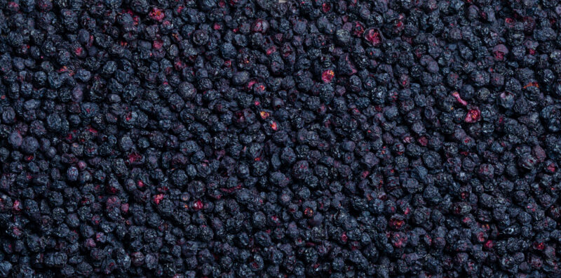 Gefriergetrocknete Heidelbeeren