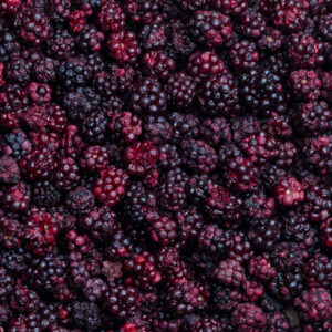 Gefriergetrocknete Brombeeren