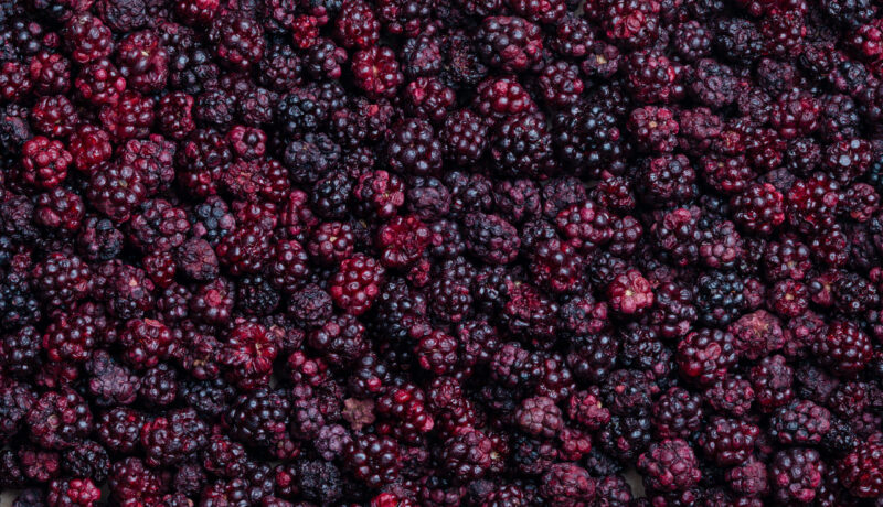 Gefriergetrocknete Brombeeren