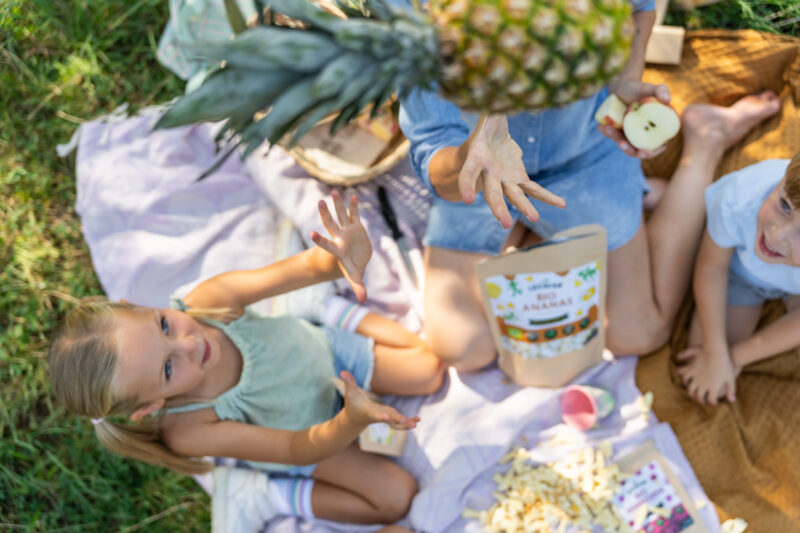 Gefriergetrocknete Ananas auf der Picnic Decke mit einer Familie